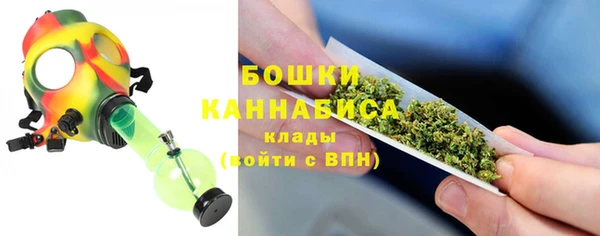 индика Аркадак