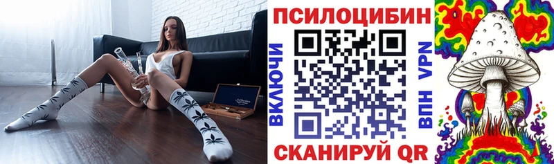 где продают   Слюдянка  KRAKEN онион  Псилоцибиновые грибы ЛСД 